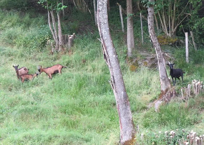 Dorfer Апартаменты Гроссарль